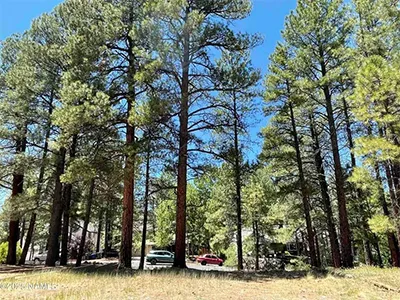 837 W Coy Drive