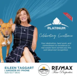 Eileens-Platinum-Celebration.webp
